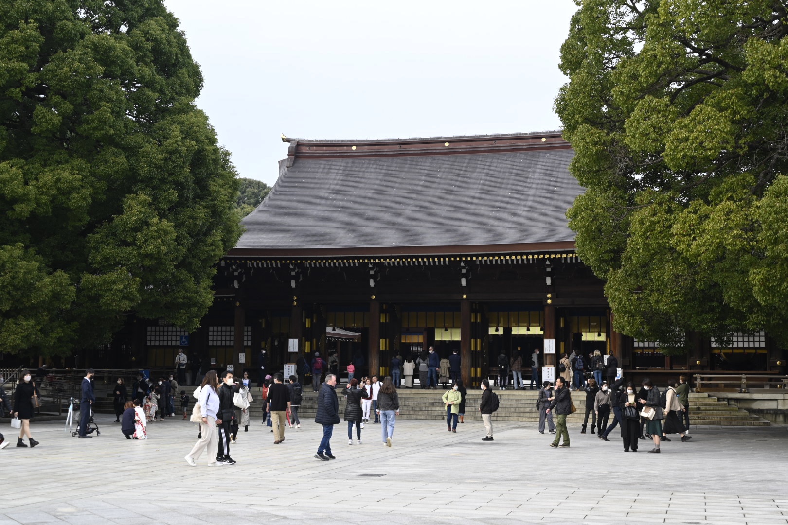 七五三詣の写真技術、文脈・光学・接客