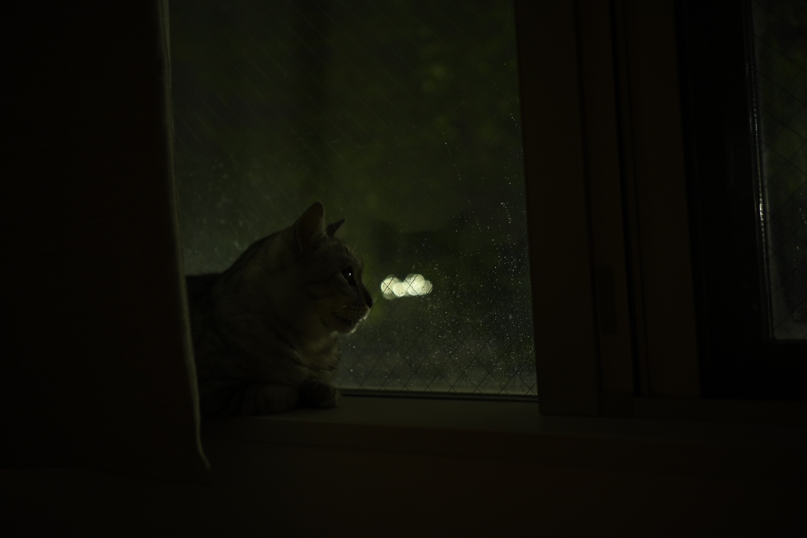 雨夜、アドトラックの暗愁、20230904