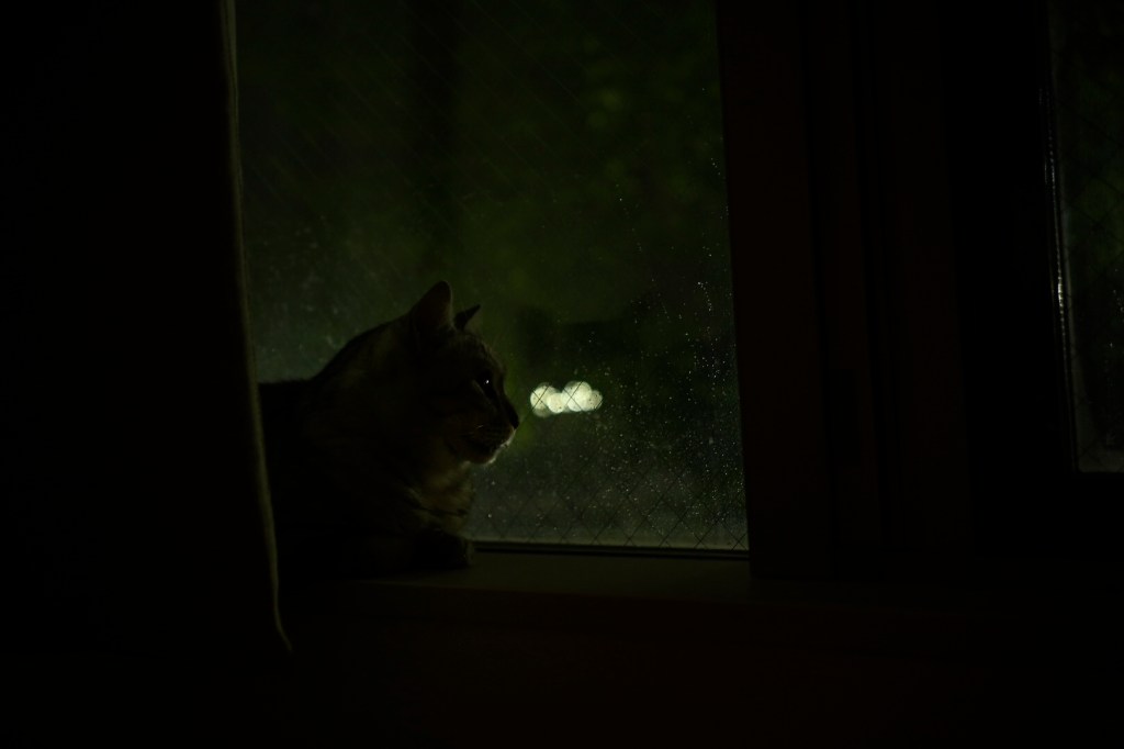 雨夜、アドトラックの暗愁、20230904