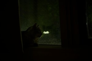 雨夜、アドトラックの暗愁、20230904