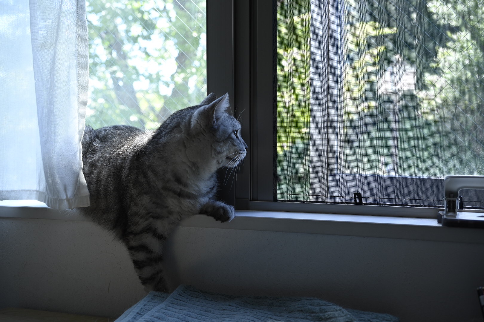 多摩川と月の出、20230905