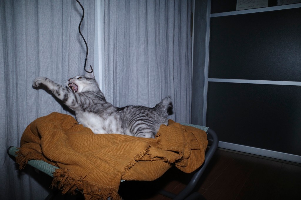 俳句とビール、20231026