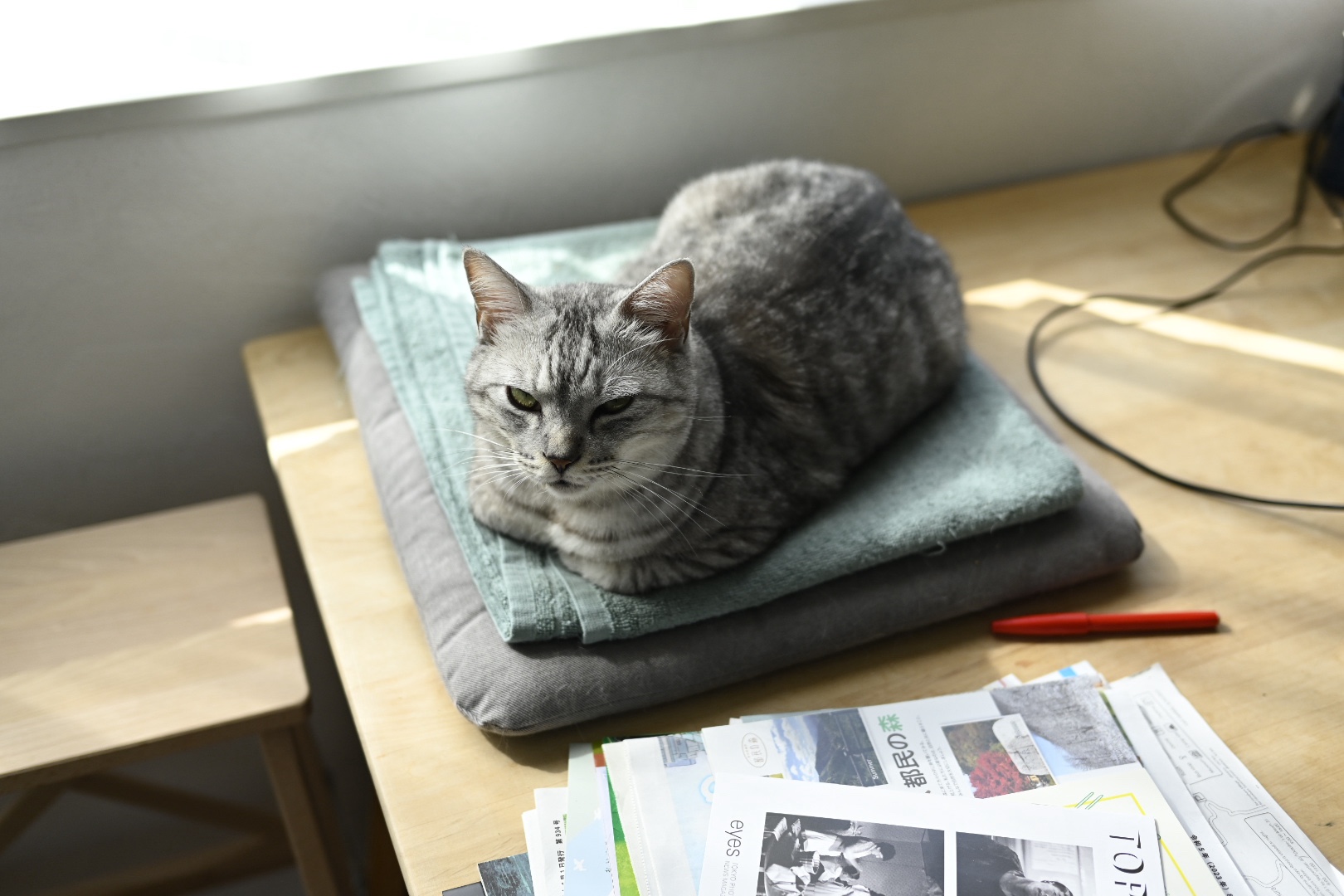 角田裕毅然のファステスト・ラップ、20231023