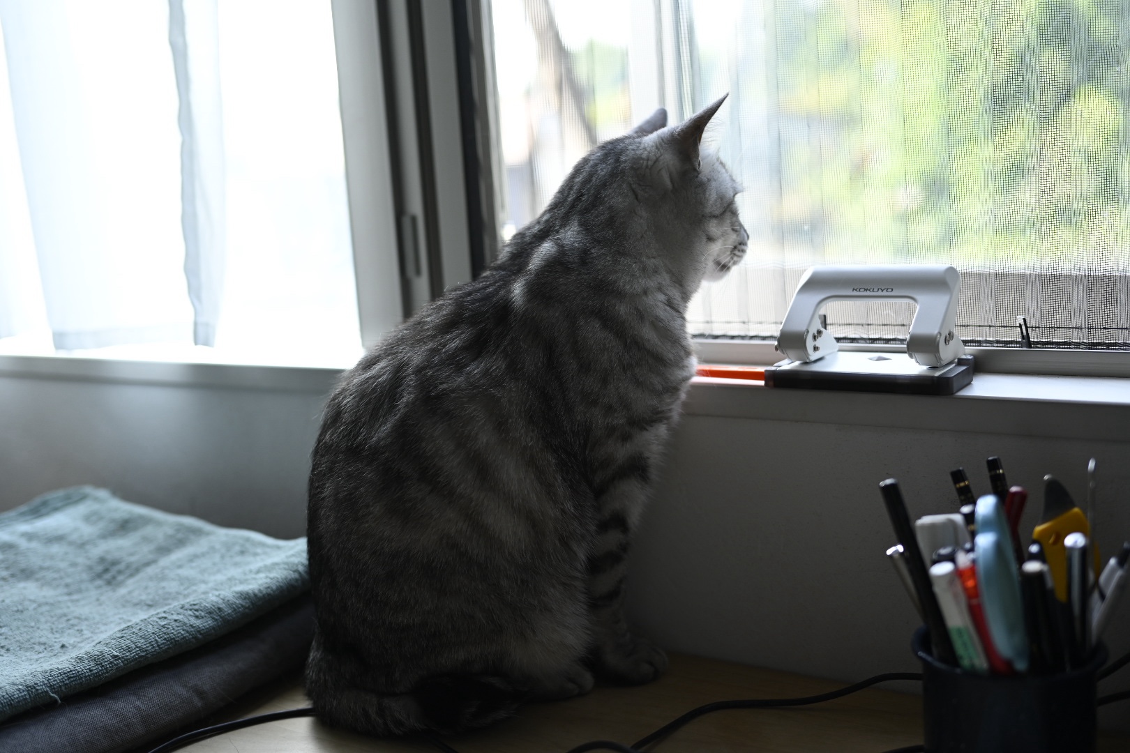 アルコール体質判定、20231024