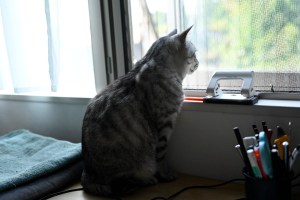 アルコール体質判定、20231024