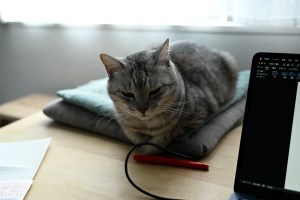 ノラとビール、20231025