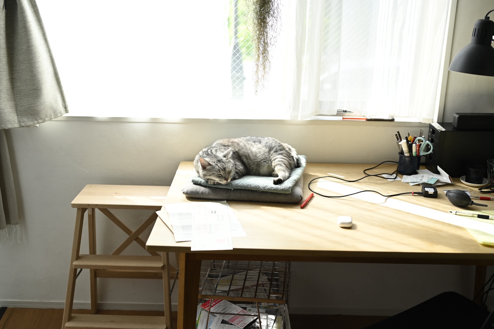 回復の土曜日、20231028