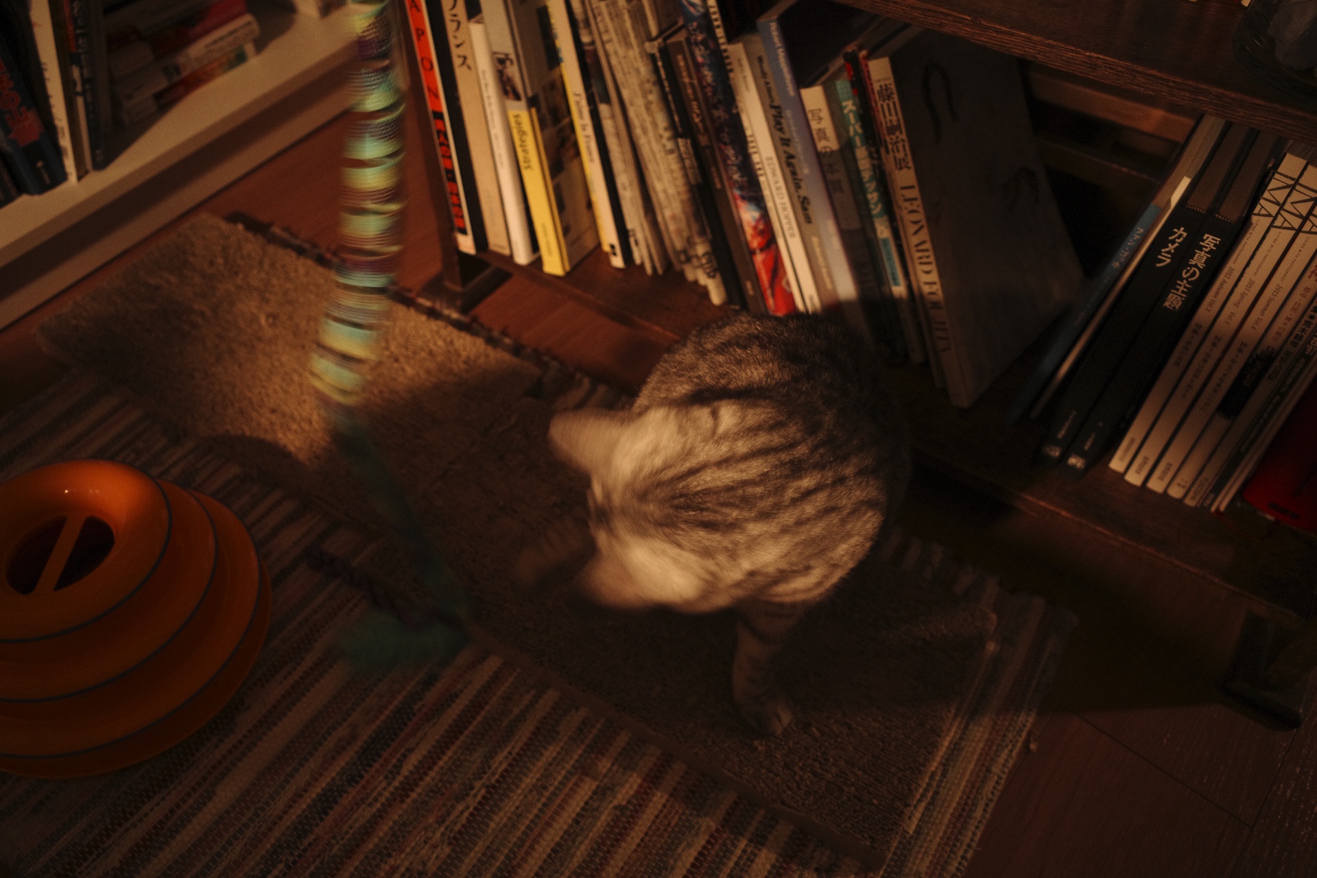 ジャズ・トゥナイト、廣岡大志、悲しき生姜焼き、20231101