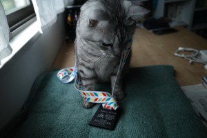 東京での仕事に戻る、次のレース、20231107