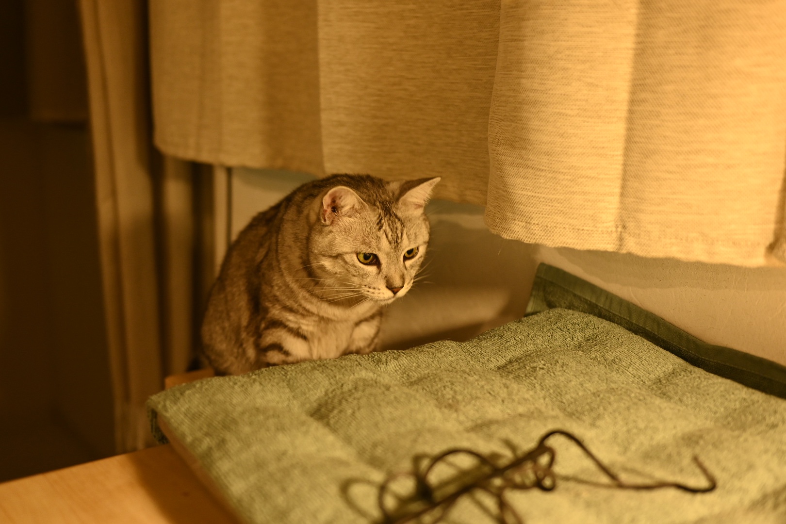 遅いチェックアウト、荒浜小学校、東京に帰る午後、20231106