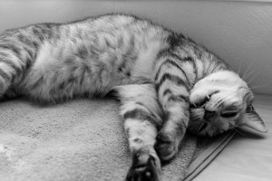 ビギナーに戻る、20231113