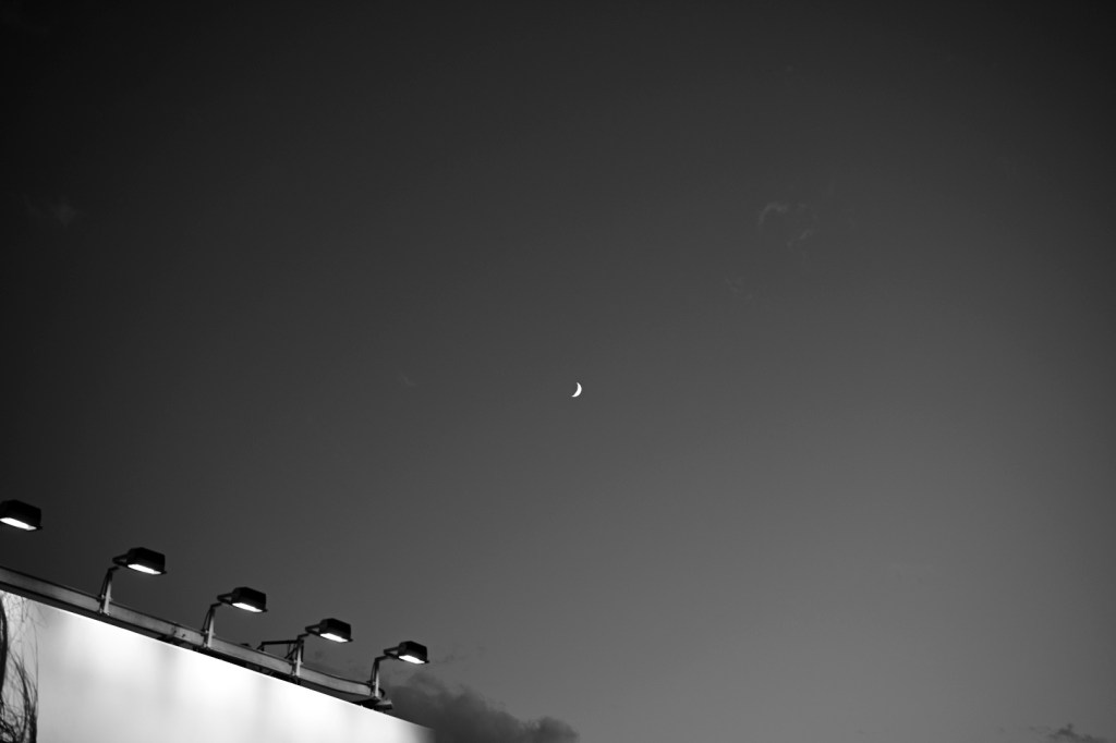 仕事は一段落、ビールがうまい、20231118