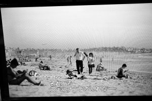 リカバリー・ジョグ、ラス・ベガスGP、ゴリラ、カモン カモン、20231119