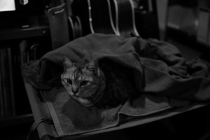 金曜の夜、20231124