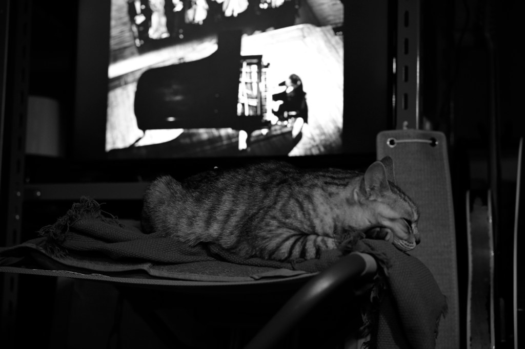 『カーネギー・ホール』、とにかくバッハを練習しろ、20231202