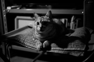 編集と経理の宿題、20231218