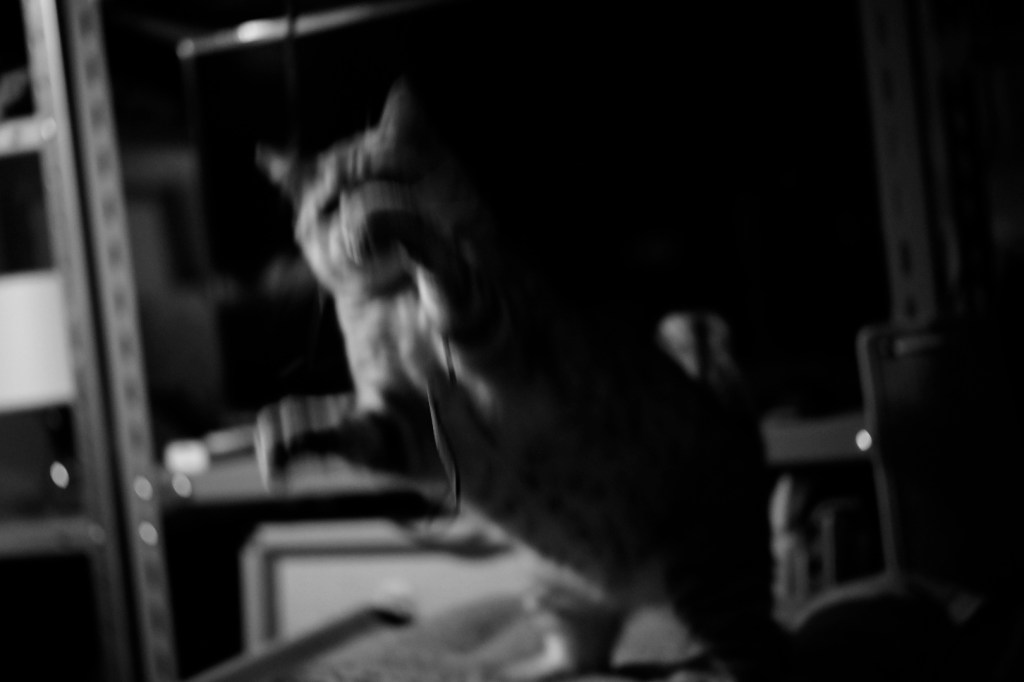 市役所の人権作文コンテストと献血、20231204