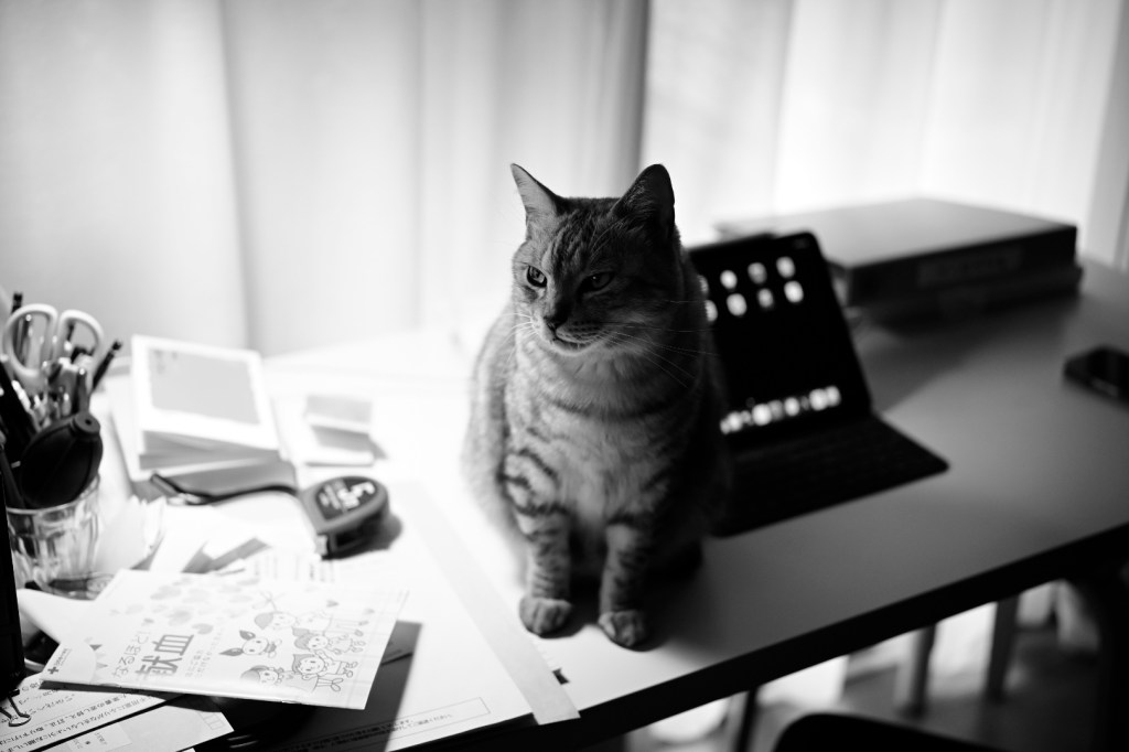 ふたたび人権作文を読む、20231205