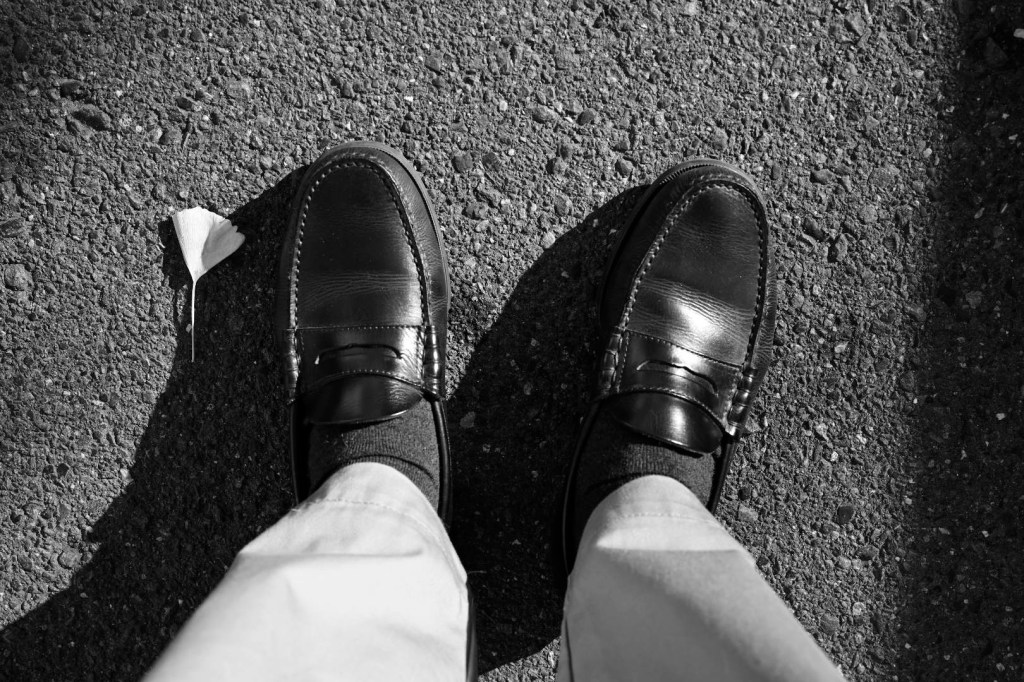 サンライズ出雲に出会う、20231210