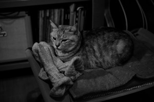 10年目の年末の余裕、20231212