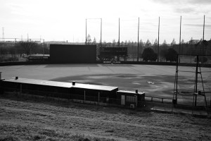 工業について、戸田球場、ゴリラ、20231219