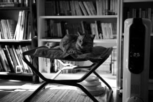 文芸のための一日、20231221