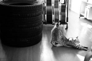 仕事納め、20231225