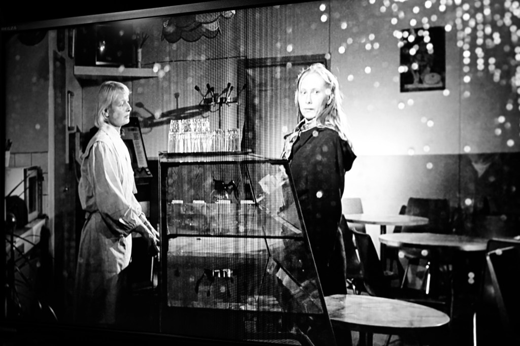 久しぶりに出かける、今夜もアキ・カウリスマキ、池澤夏樹の新作を手に取る、20231228