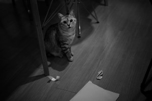 正月三日、20240103