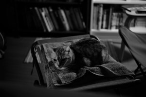 年始からの一連の仕事を手放す、『マシアス・ギリの失脚』を読み返す、20240108