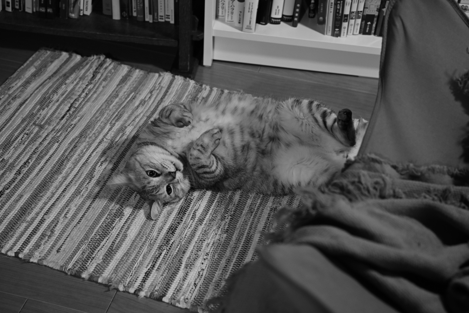 愉快な友人たちとの新年会、20240112