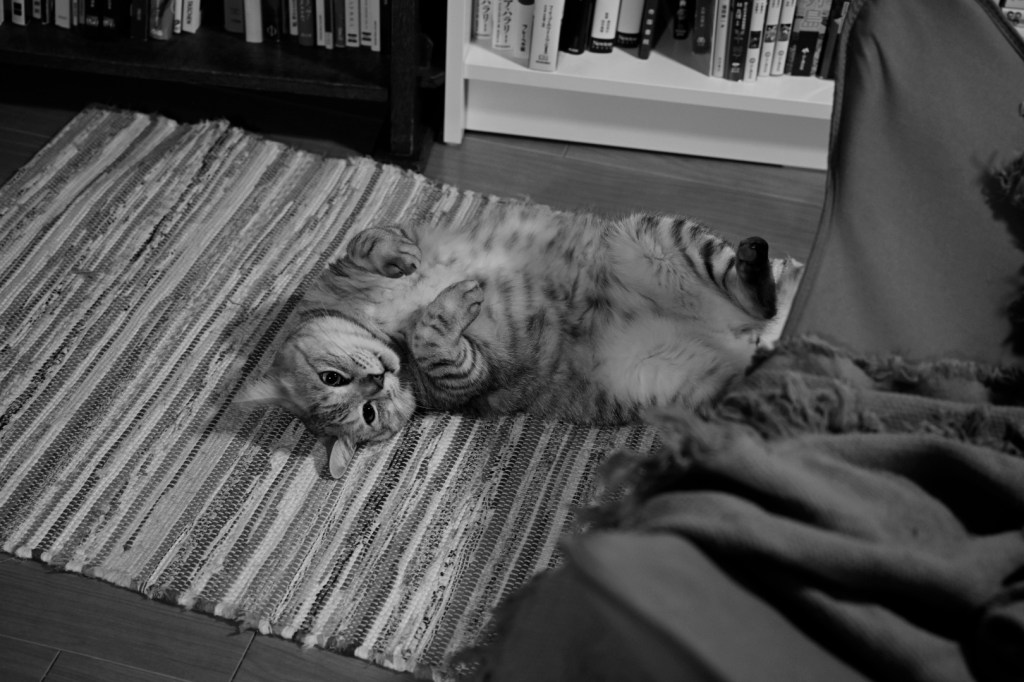 愉快な友人たちとの新年会、20240112