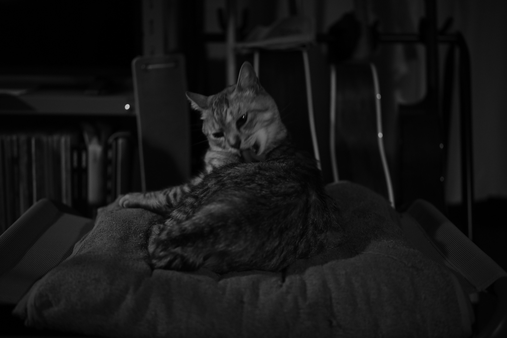 酒を体内に抱え無為に過ごす、20240113