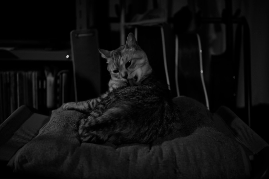 酒を体内に抱え無為に過ごす、20240113