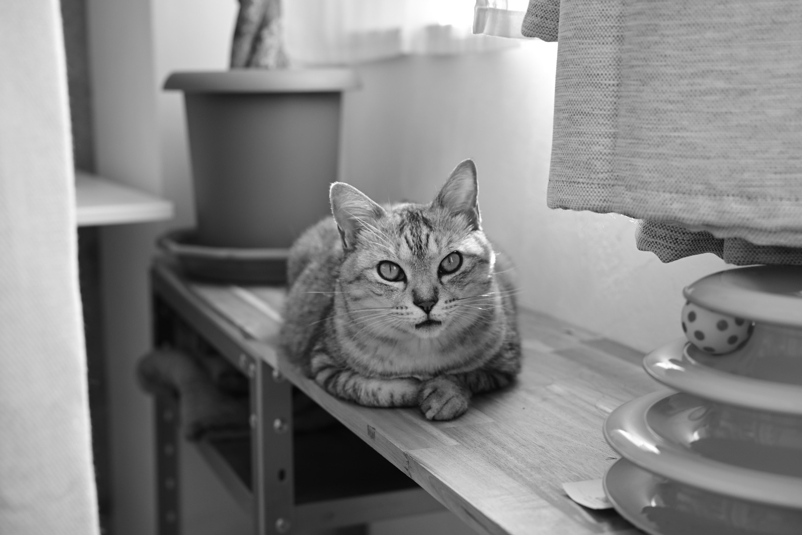 吟行ドライブ、20240115