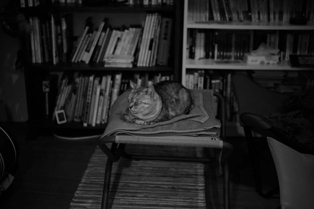 まあ雨だよな、相変わらずの冬籠り、寝る前に八王子市長選挙の結果を見てしまう、20240122