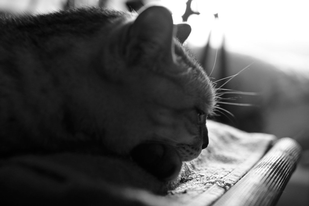 1995年を語る人、丘沢静也訳『飛ぶ教室』、20240122