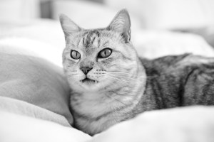 夕方から3時間走、都立日野高校となにかを探す人、20240123