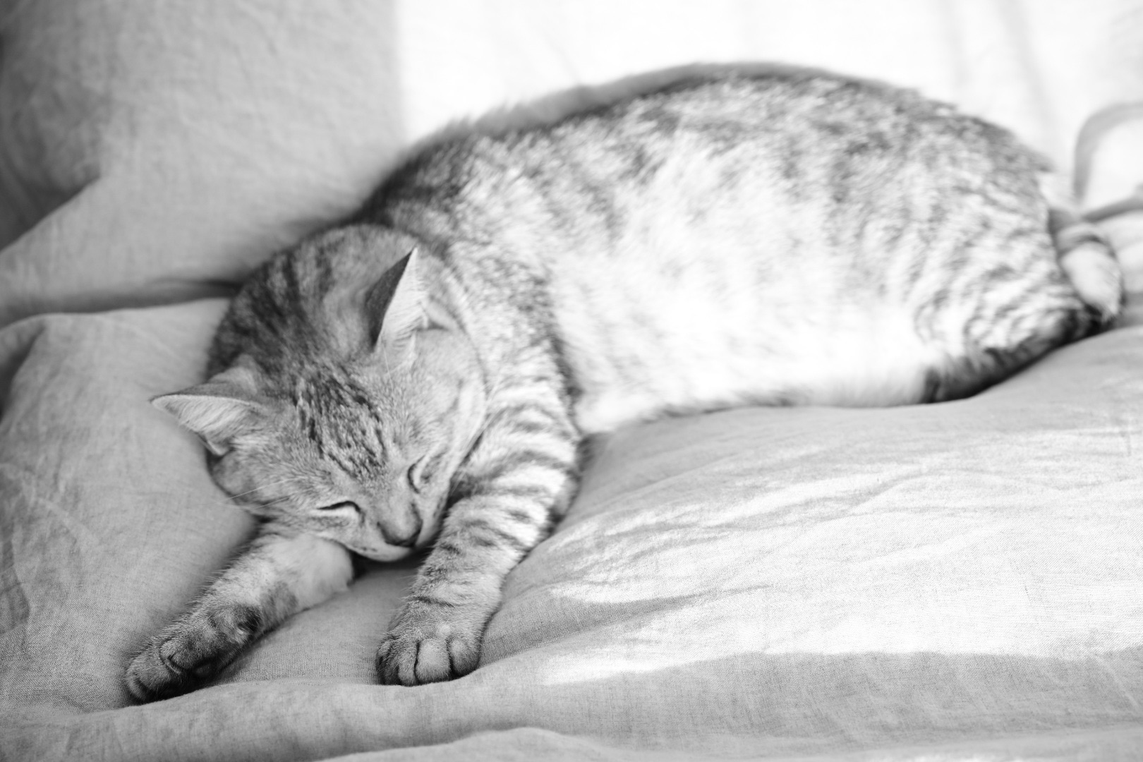 『ジョン・レノン、ニューヨーク』、集中力を発揮する、『アトミック・ボックス』、20240124