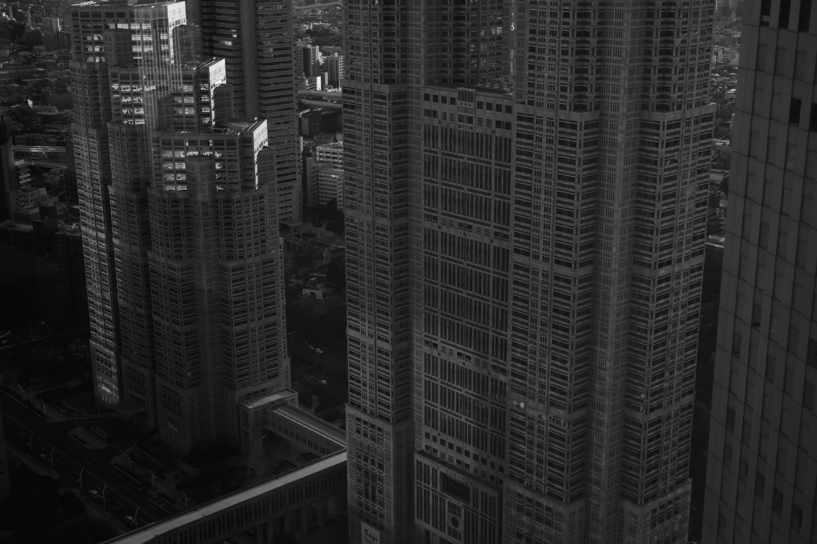 目には栄養を、新宿と多摩丘陵から、20240125