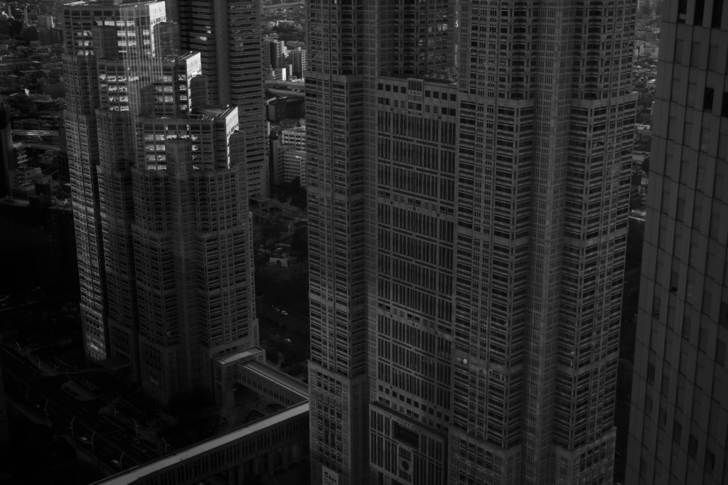 目には栄養を、新宿と多摩丘陵から、20240125