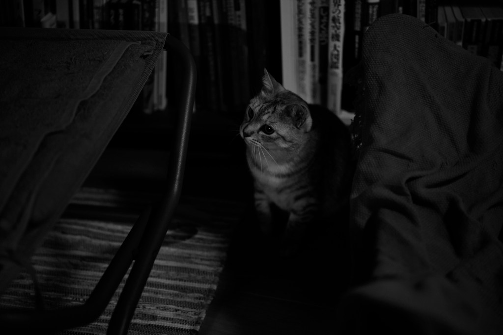 郷土の森で花見、20240126