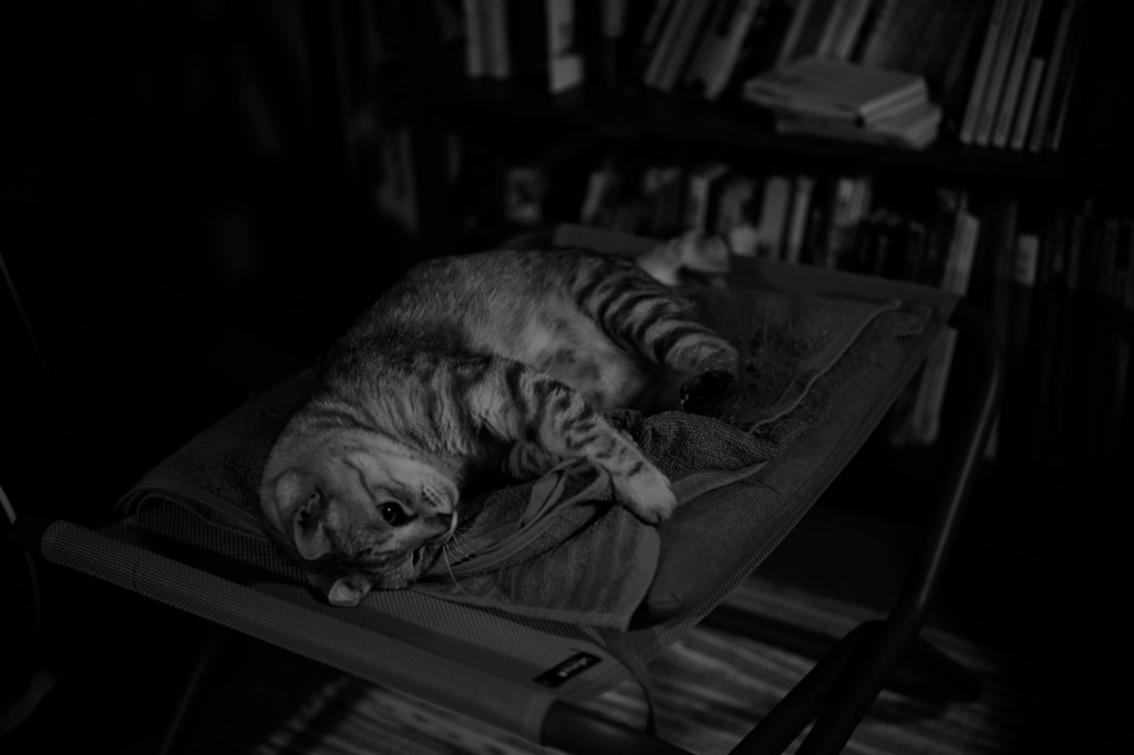 気が滅入る土曜日、20240127