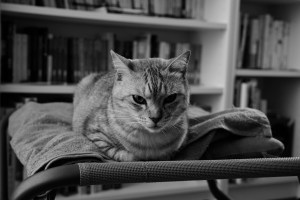 酒断ちの心、20240128