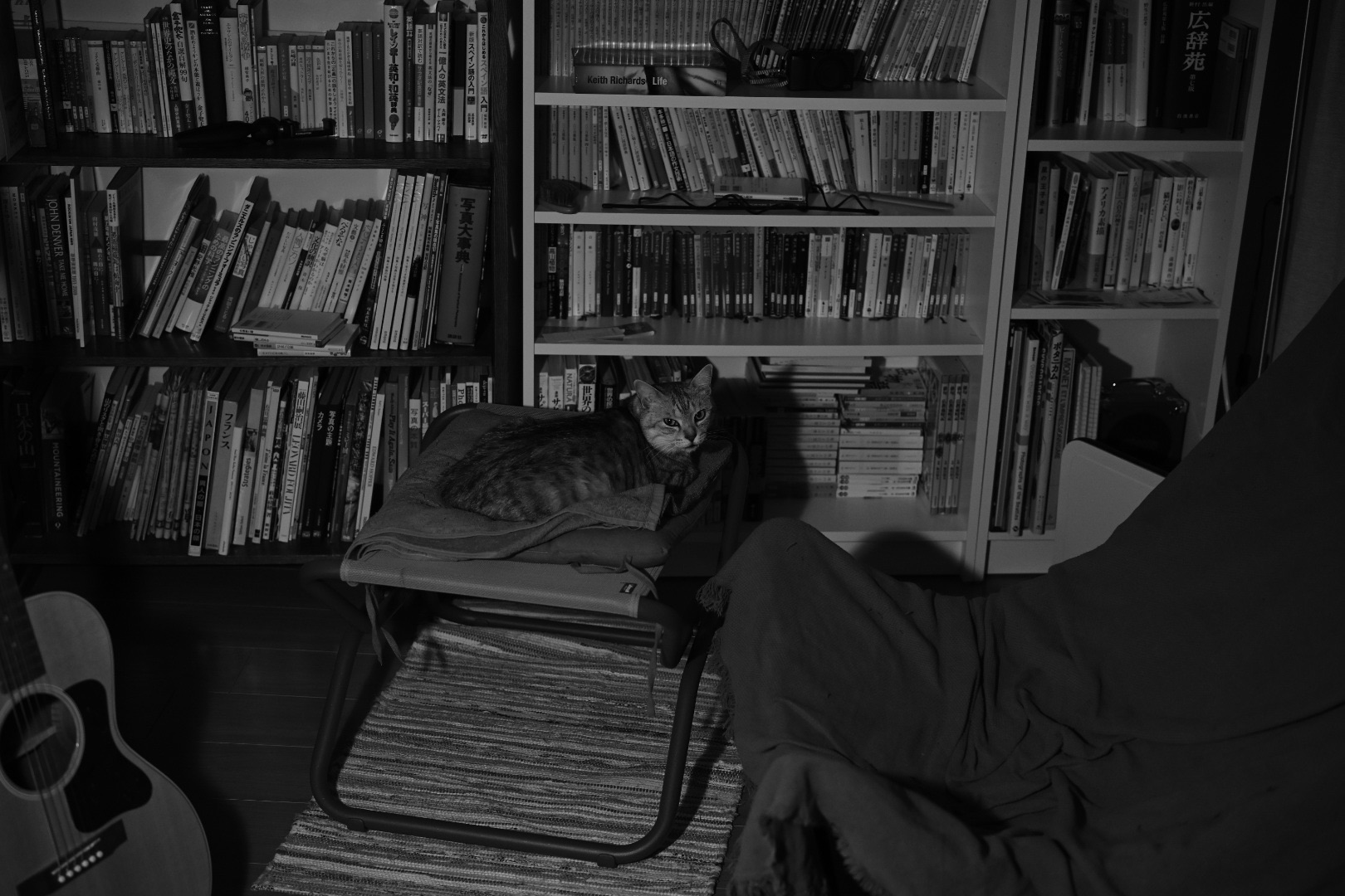 酒断ちのステートメント、紅茶と句作、20240129