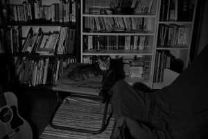 酒断ちのステートメント、紅茶と句作、20240129