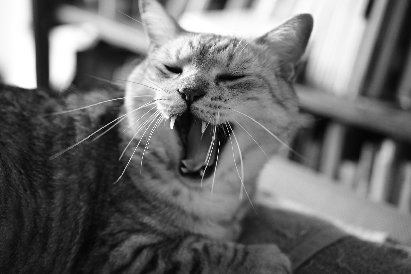 青梅でロケ、シートヒーターが直る、20240130