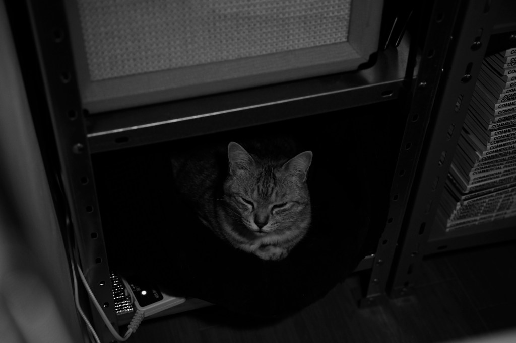 Yさんと電話で話す、俳句的筋力、20240201