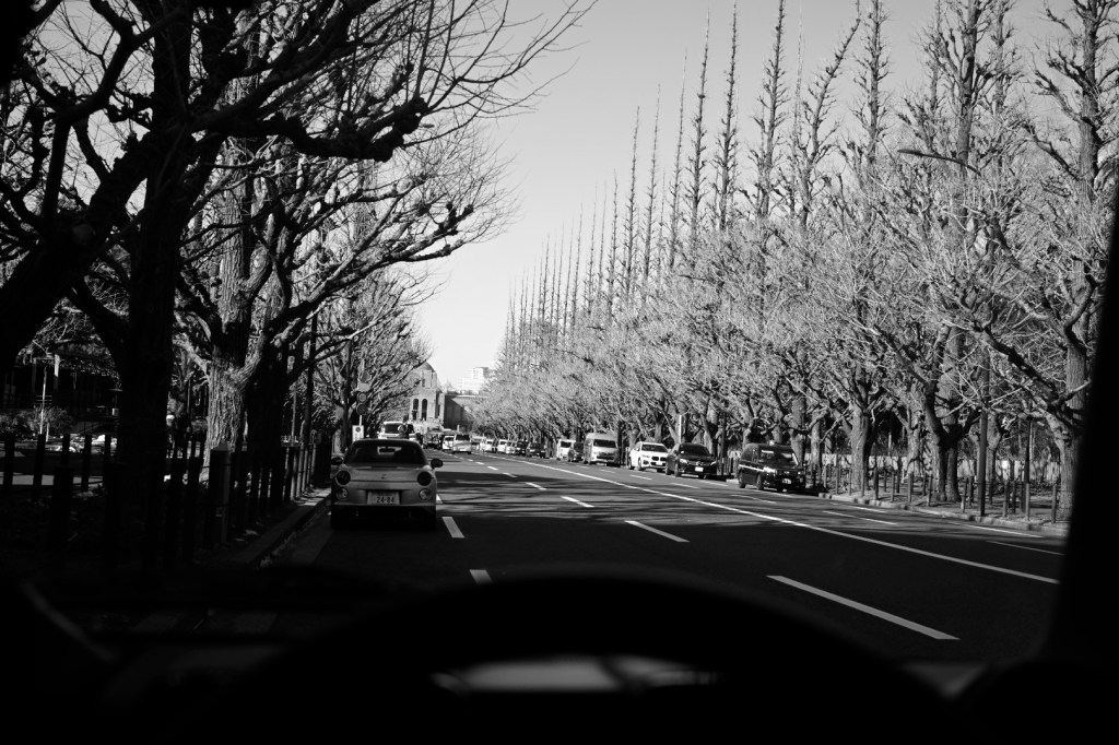 神宮外苑で空き時間を過ごす、ぷりぷり、20240207