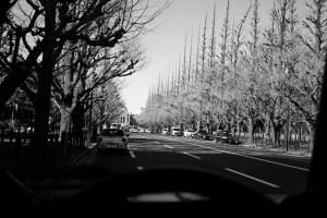 神宮外苑で空き時間を過ごす、ぷりぷり、20240207